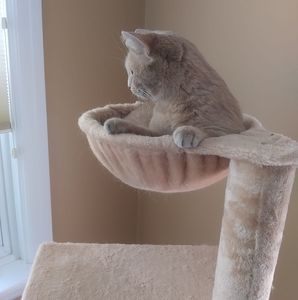 Meet your Posher, Eileen